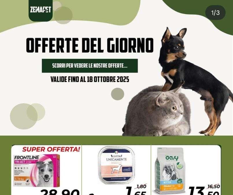 Le Imperdibili "Offerte del Giorno" da Zemapet Frosinone: Sconti validi fino al 18 Ottobre 2025!
