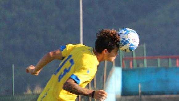 PAGELLE Sudtirol-Frosinone: le pagelle dei canarini