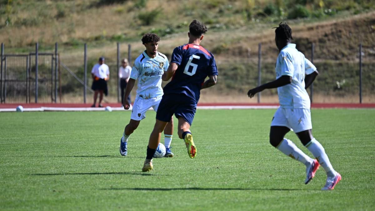 RIVIVI IL LIVE TF Frosinone - Sambenedettese 1-1: finita! Reti di Plicco e Kvernadze