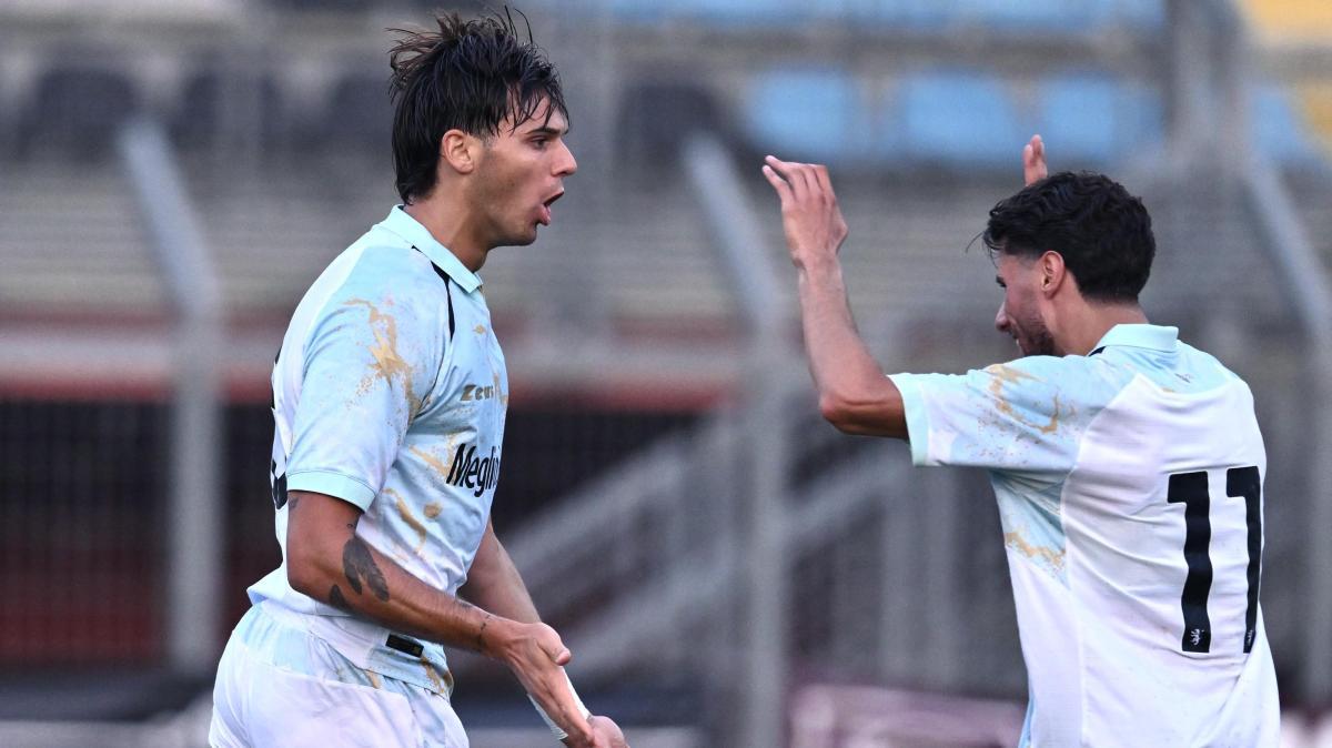 Frosinone-benevento 2-2: gli highlights del match del Manlio Scopiglio