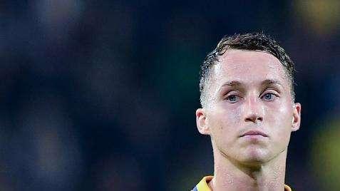 Haas, impatto devastante a Castellammare: qualità che fa la differenza
