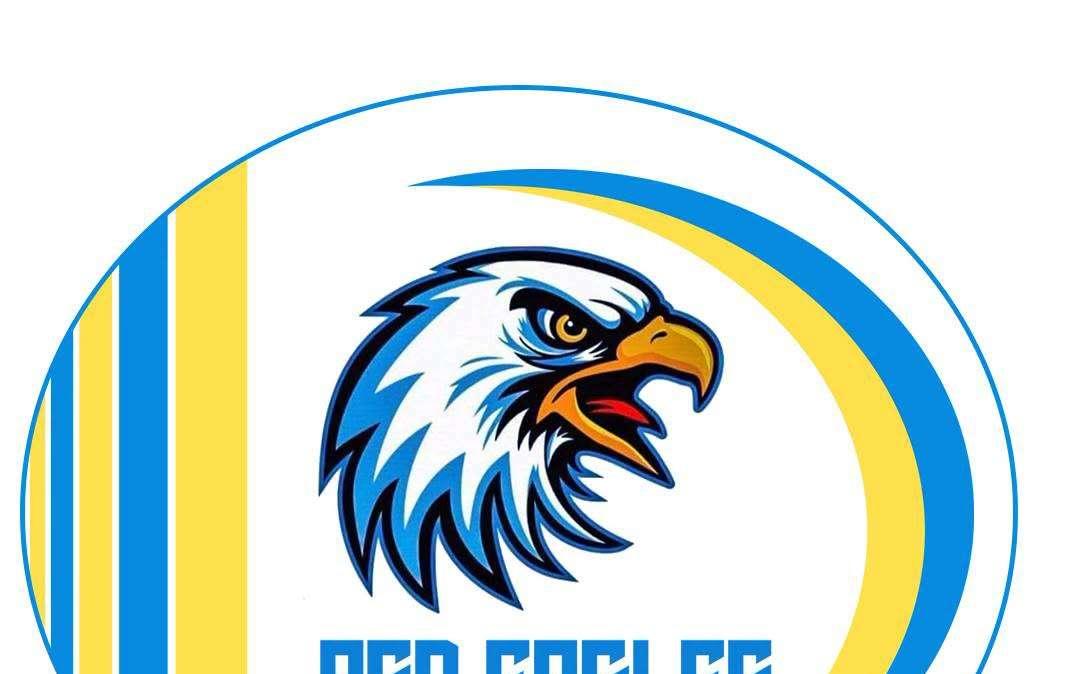 ASD Eagles Frosinone e Torrice: Al via un nuovo grande progetto sportivo, si riparte dalla Serie C2!