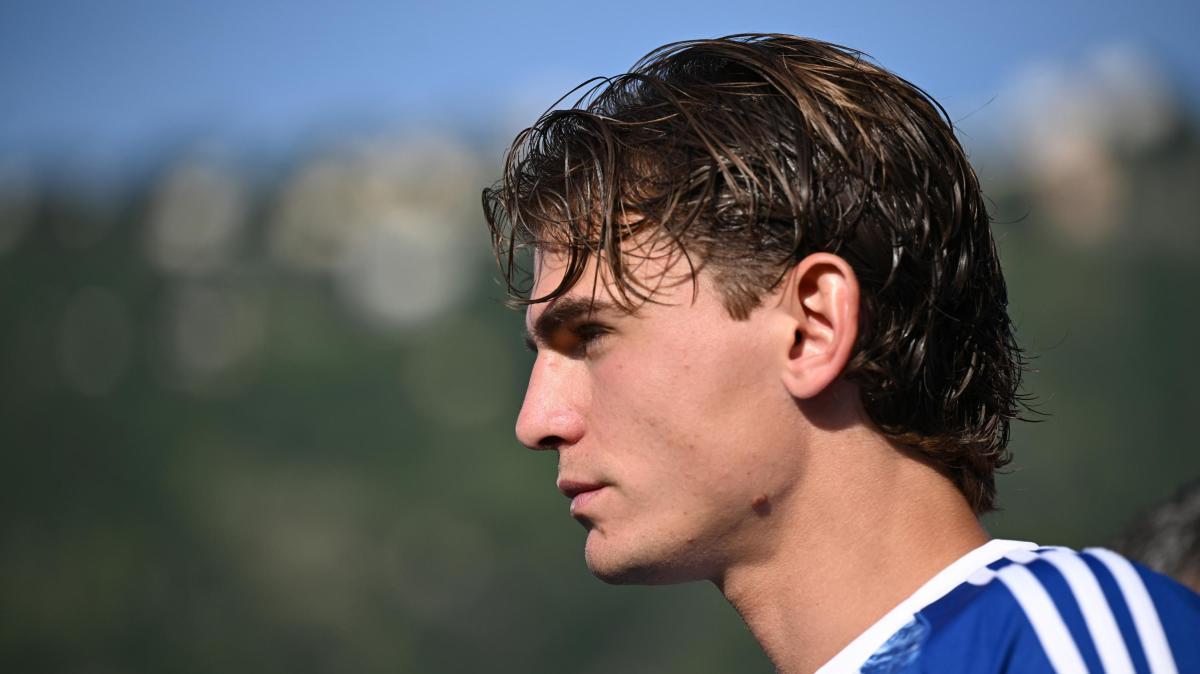 Frosinone-Como 2-0, le pagelle di TMW sulla squadra di Fabregas: "Paz è nervoso"