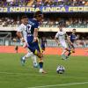 L'Arena - Verona - Ascoli 1-2, le pagelle dei gialloblù