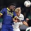 Coppa Italia - verso Verona-Virtus Entella: non ci sarà Mosquera