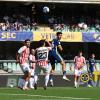 L'Arena - Verona-Vicenza 2-1, le pagelle dei gialloblù