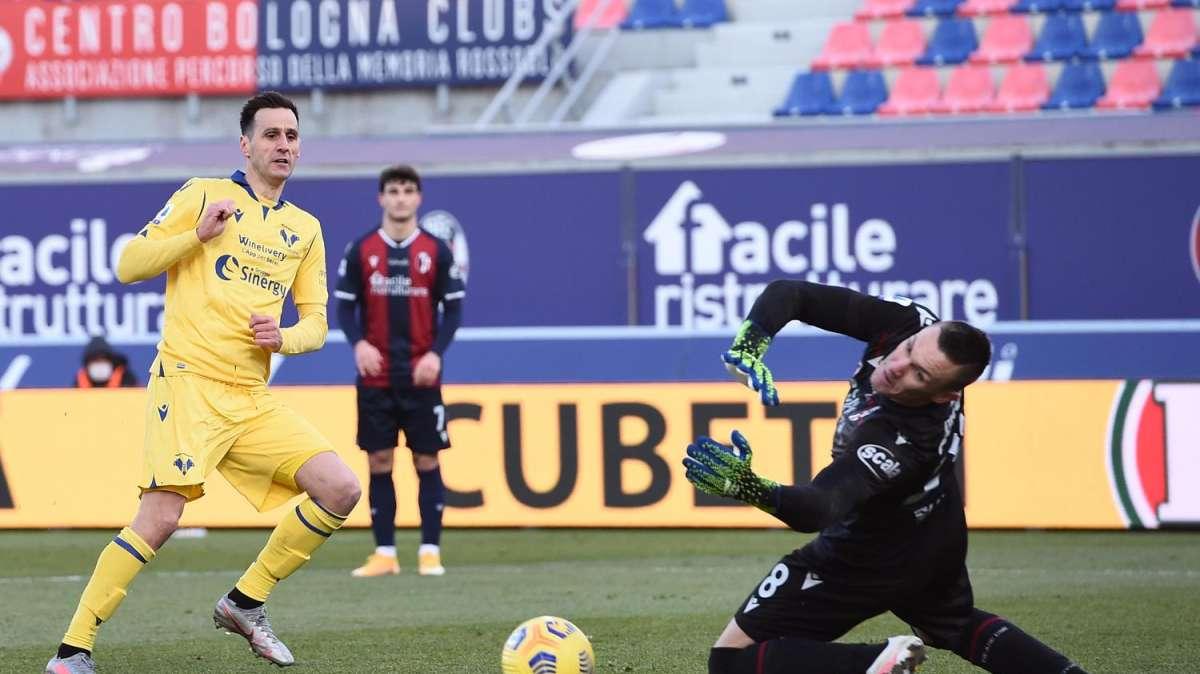 L'Arena: "Hellas, c'è un bivio genovese. Con la Samp in gioco il futuro"