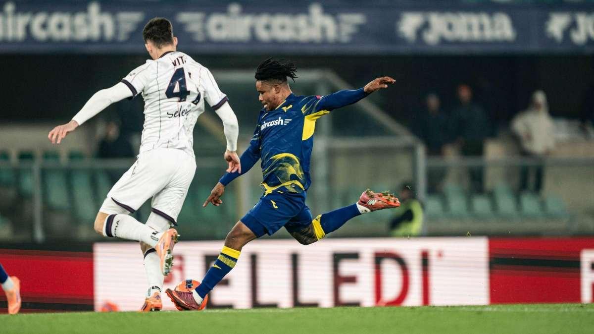 hellasverona.it