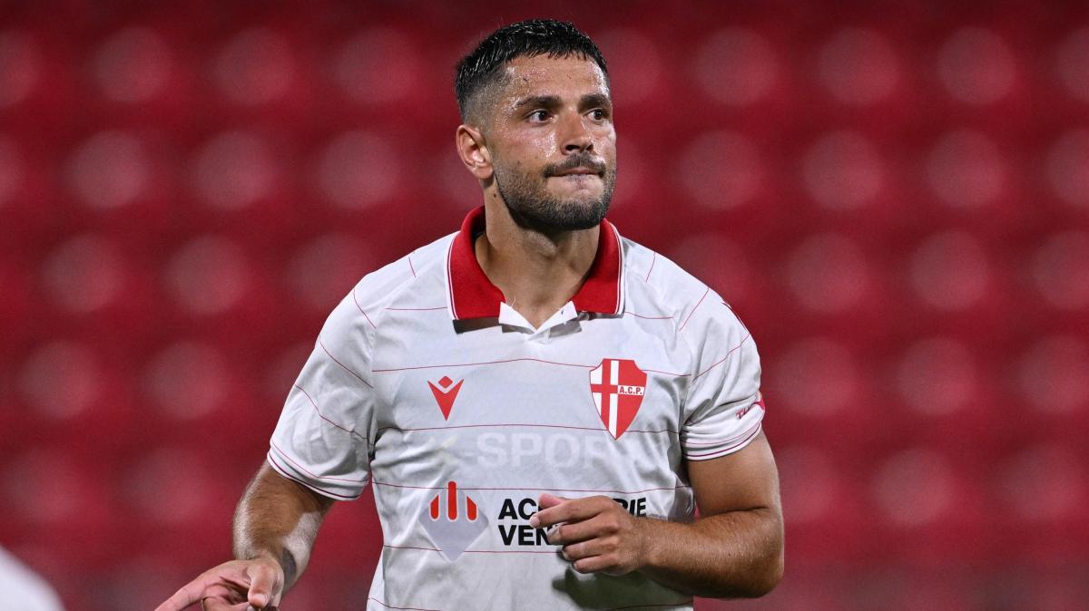 Padova-Verona 1-1, le pagelle della formazione biancoscudata