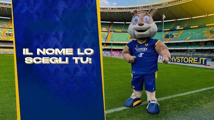 Hellas Verona: i tifosi possono votare il nome della nuova Mascotte gialloblù