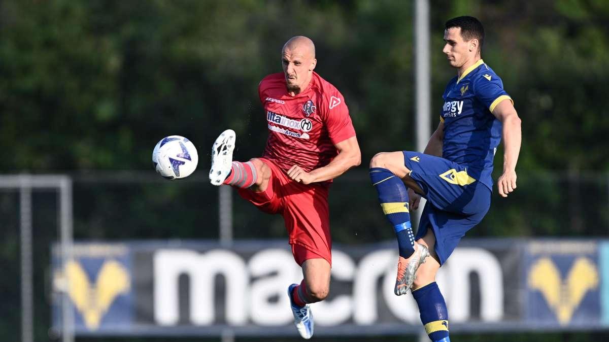 L'Arena - Coppa Italia, Verona-Bari: le probabili formazioni 