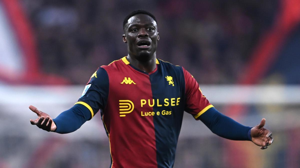 Mercato Verona - ipotesi Ekuban