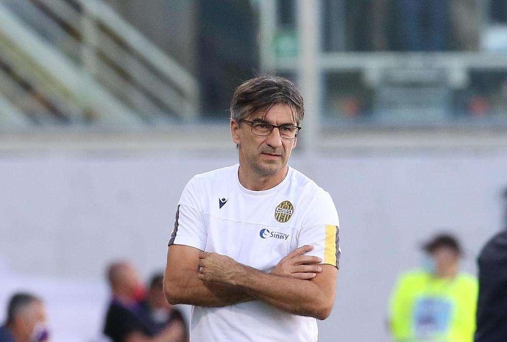 Fiorentina in pressing per Juric, l'Hellas propone un raddoppio dello stipendio