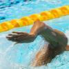 Immagine news Altre notizie n.1
