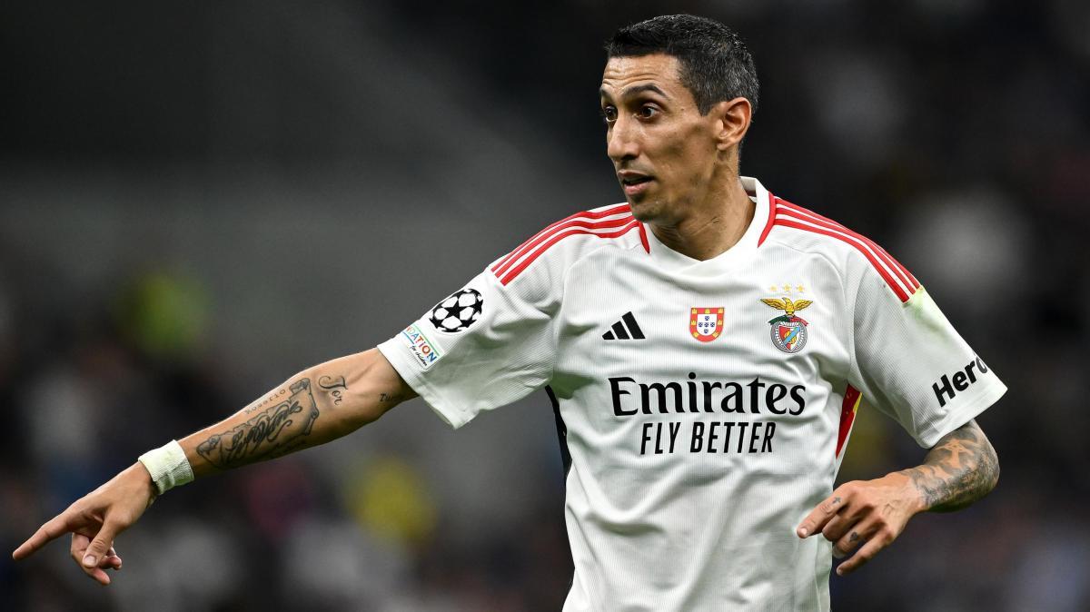 Di Maria, già addio al Benfica? Schmidt sull'ex Juventus: "Deciderà lui"