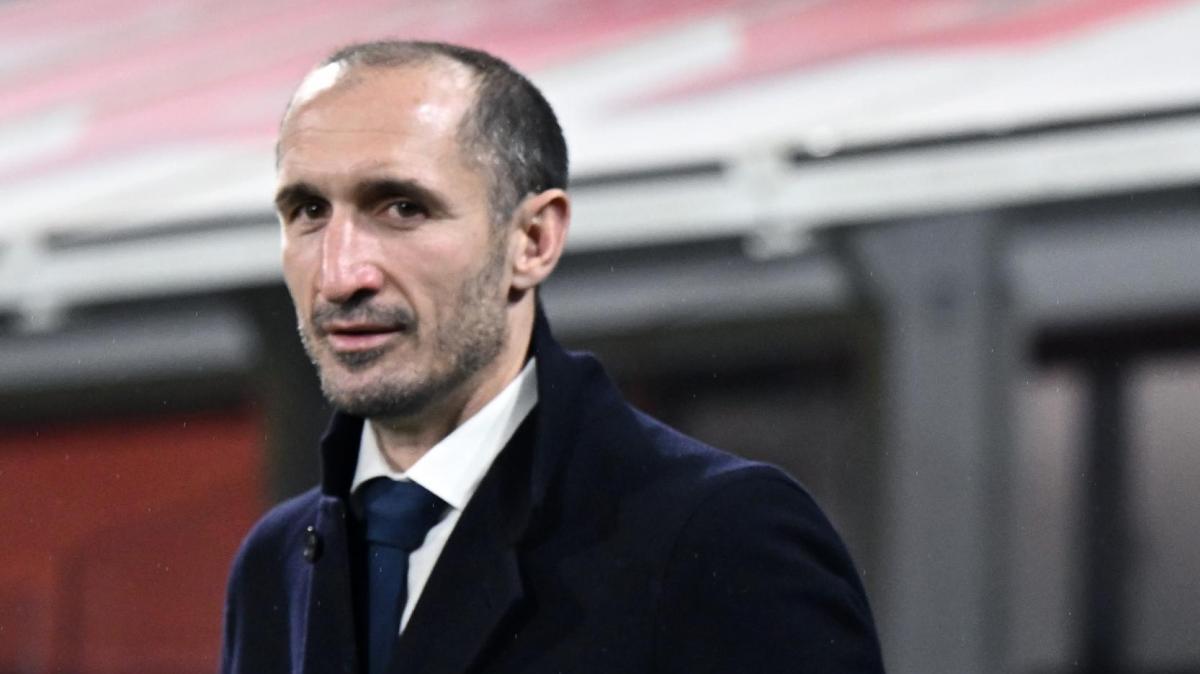 Oreggia: "La Juventus non si priverà di Chiellini, sarebbe un errore"
