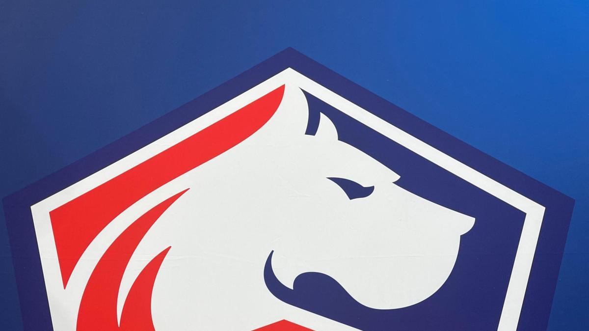 Niente Juve per Duran: l’attaccante colombiano andrà al Lille 