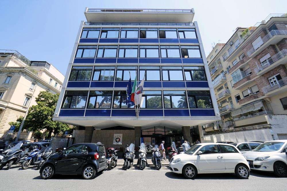 Figc, ricavi in aumento: l'azzurro piace sempre
