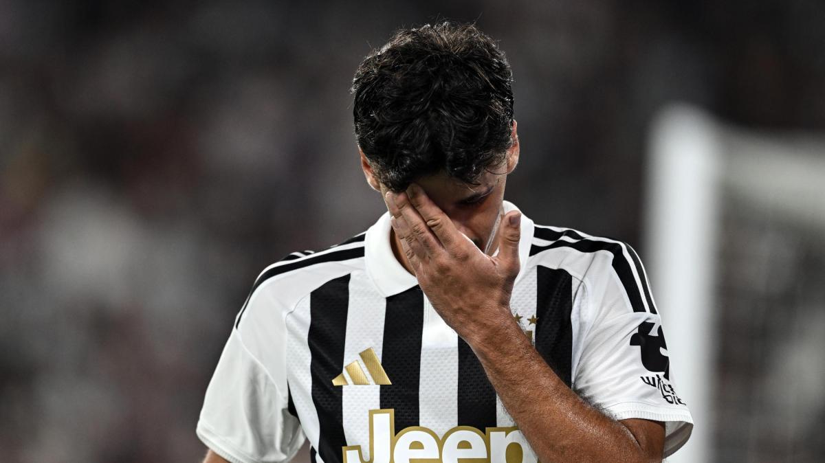Alajbegovic, buona personalità ma manca lo spunto decisivo