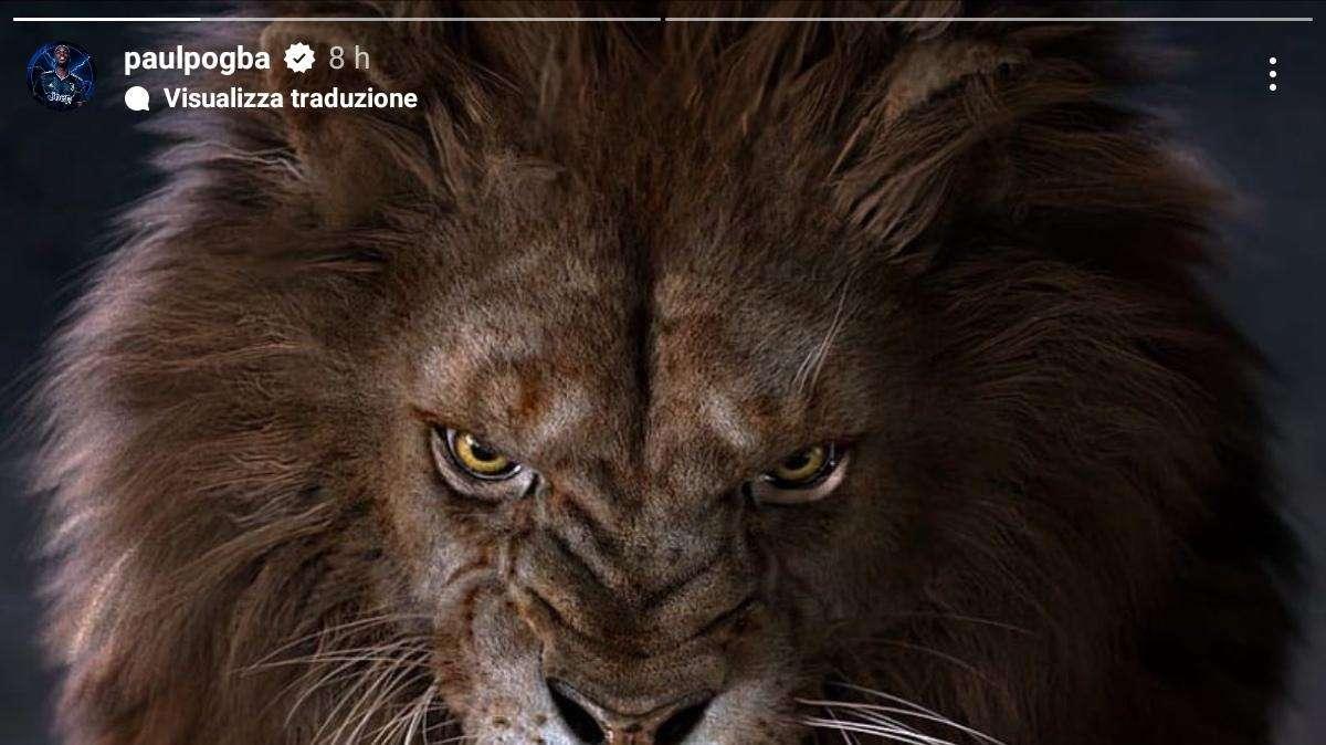 POGBA posta sui social la foto di un leone e scrive: "On my way..." 