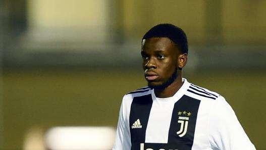 ESCLUSIVA TJ - Nussi (Intermediario Mavididi) svela: "Il Digione può acquistarlo per 5 milioni, ma l'ultima parola è della Juve. E' il nuovo Welbeck"