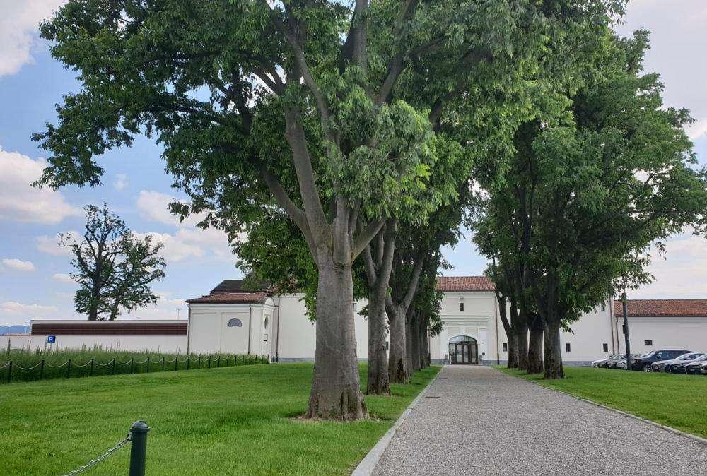 Gazzetta - Le grandi manovre 