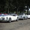 GP Nuvolari, oggi via alla grande classica dedicata al "Mantovano Volante"