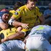 Rugby, Coppa Italia: prima vittoria stagionale per Viadana