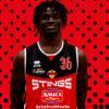 Basket, Bedoni nuova guardia degli Stings Mantova