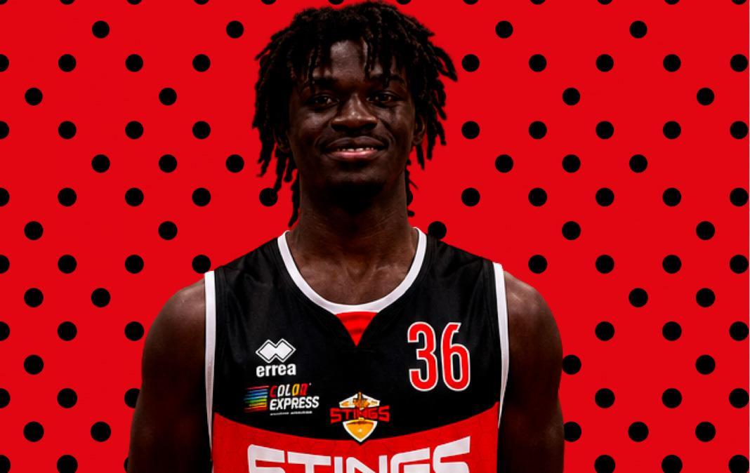 Basket, Bedoni nuova guardia degli Stings Mantova