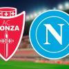 LIVE: MONZA-NAPOLI 0-1. LOBOTKA SI INFORTUNA, BARELLA PER LUI