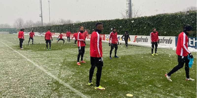 Monza-Frosinone, i convocati di mister Stroppa