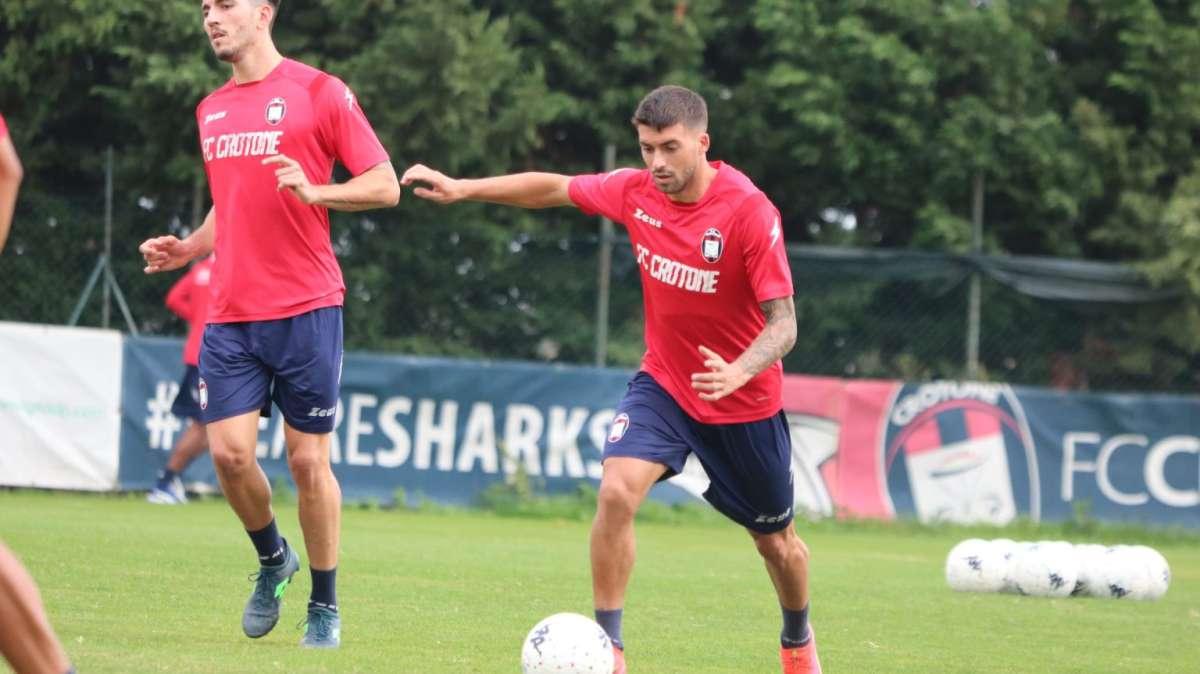 Crotone, seduta mattutina per gli squali