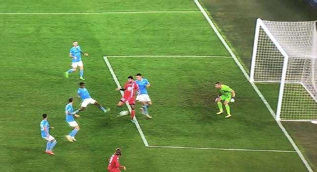 Bufera per il gol annullato a Petagna: il web si ribella al VAR