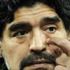 Immagine news Notizie n.6