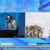 Immagine news Radio Tutto Napoli n.1