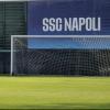 Immagine news Notizie n.1