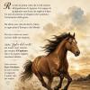 Immagine news Brevi n.2
