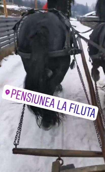 FOTO - Vacanze in patria per Chiriches: il difensore azzurro sulla neve di Suceava