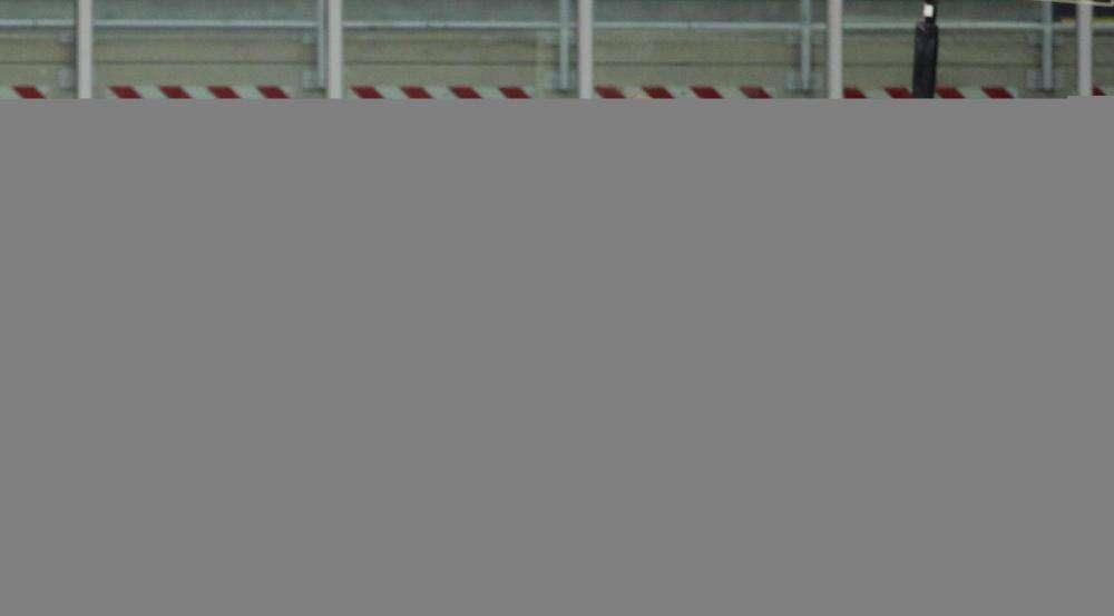 Curiosità sulle quote: il Napoli parte decisamente favorito contro il Bologna