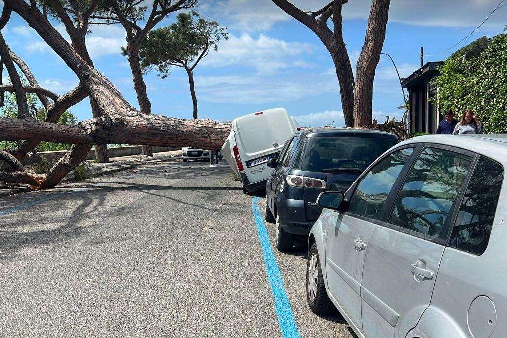 Posillipo, sfiorata tragedia: albero crolla su un auto, nessun ferito 