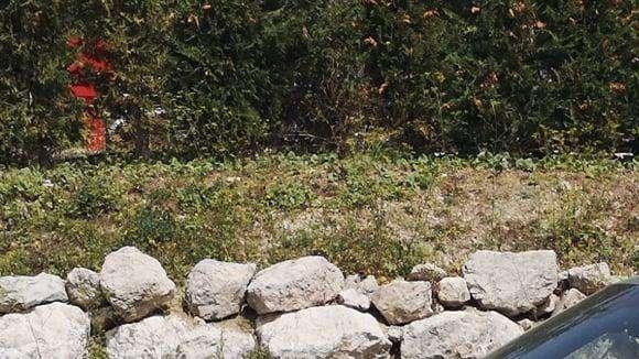 FOTO&VIDEO TN - ADL lascia l'hotel dove c'era anche Pisacane: finisce il ritiro del presidente