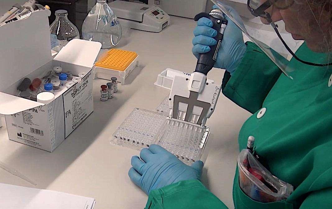 Coronavirus, quarantena di 10 giorni e un solo tampone per terminare l’isolamento