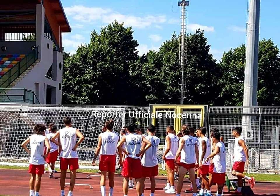 NOCERINA: lavoro di scarico per i molossi. Domani seduta al mattino, poi il rompete le righe