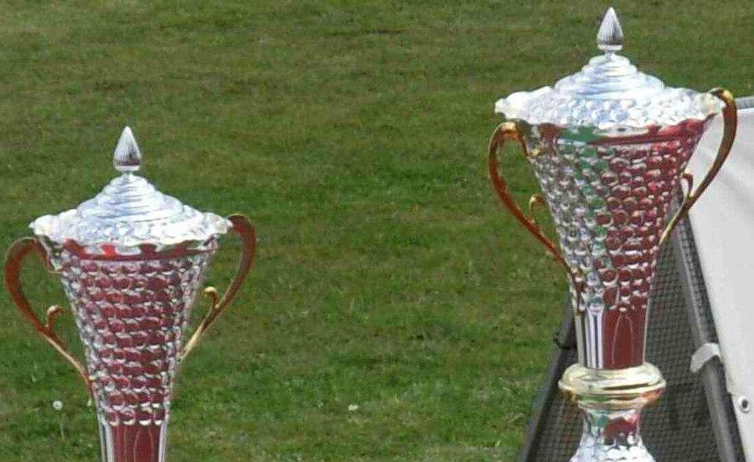 Coppa Italia Serie D, ecco gli accoppiamenti dei Trentaduesimi di Finale