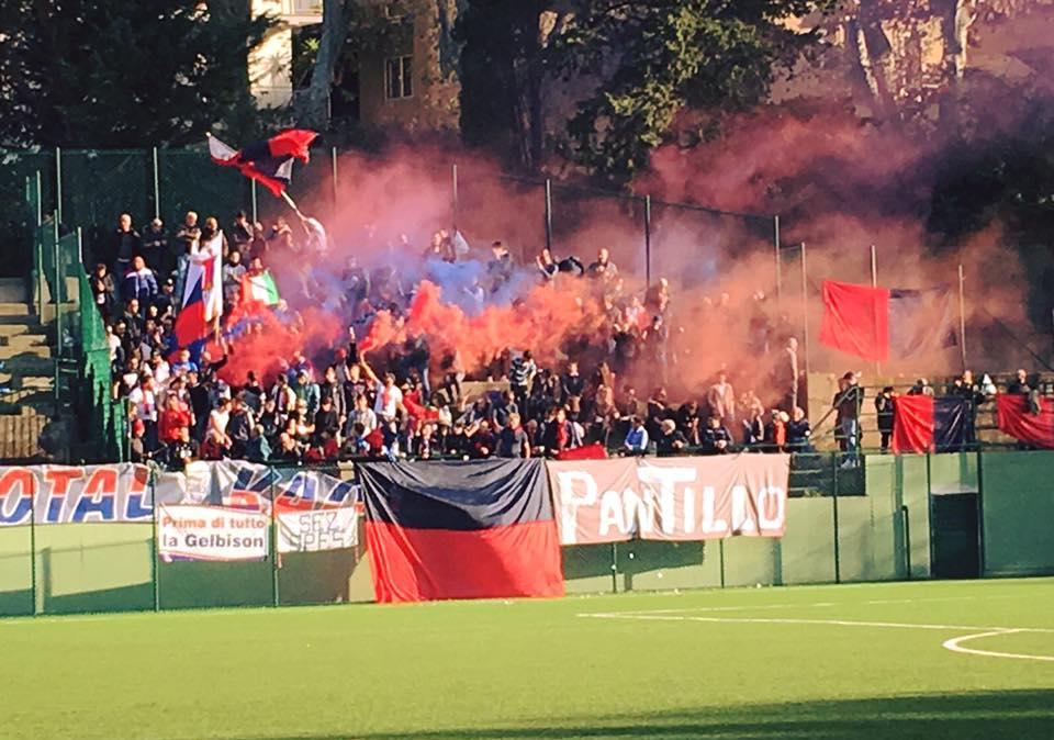 Tifosi Gelbison