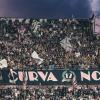 Palermo, la tifoseria ci crede: abbonamenti in crescita e sogno Serie A