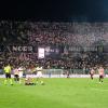 Palermo-Padova, il Barbera pronto a spingere i rosanero