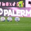 Palermo Primavera, è tempo di esordio: sabato il debutto stagionale in Coppa Italia