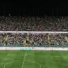 Palermo-Mantova, il dato spettatori